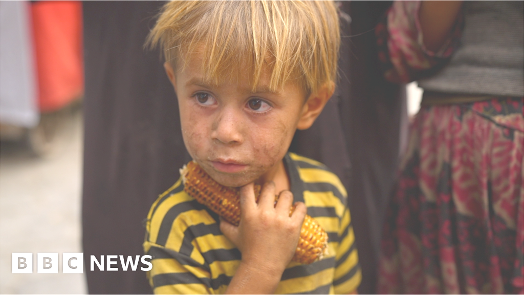 Afghanistan: Fighting off hunger under the Taliban