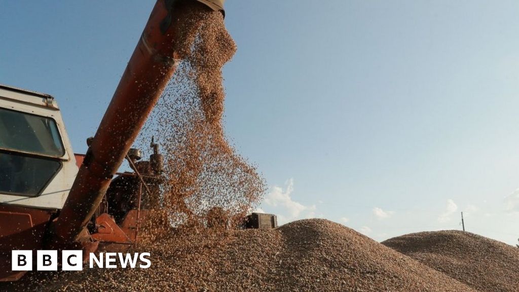 Ukrajina podala žalobu na svojich susedov v EÚ kvôli zákazu dovozu potravín