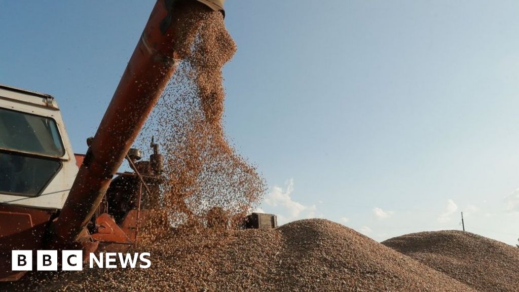 Ukraine sues EU neighbours over food imports ban