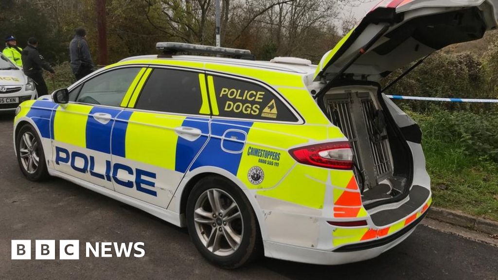 Human Remains Found In South Bristol Woodland - BBC News