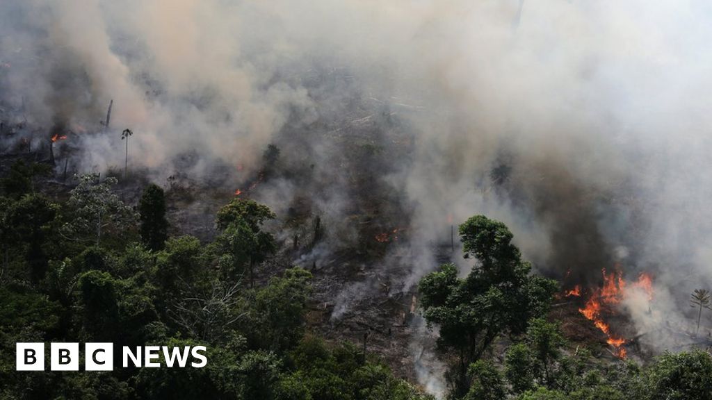 Amazon fires increase by 84% in one year - space agency