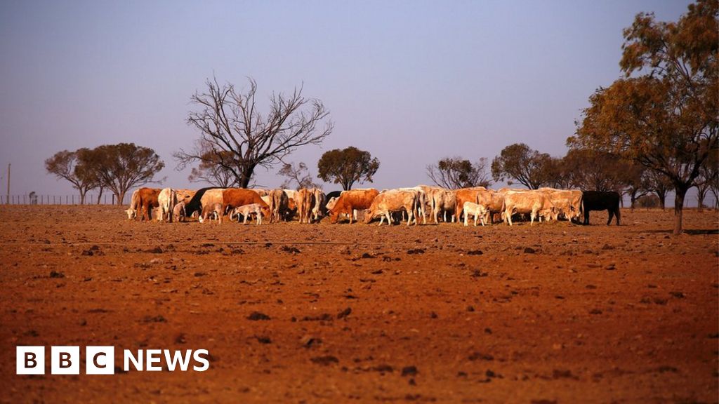 Australia now a land of drought, PM says