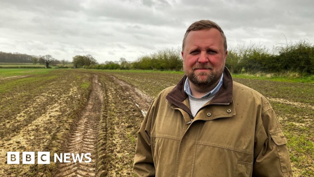Image for article: Dead lambs and 'decimated crops' on rain-soaked farms Image