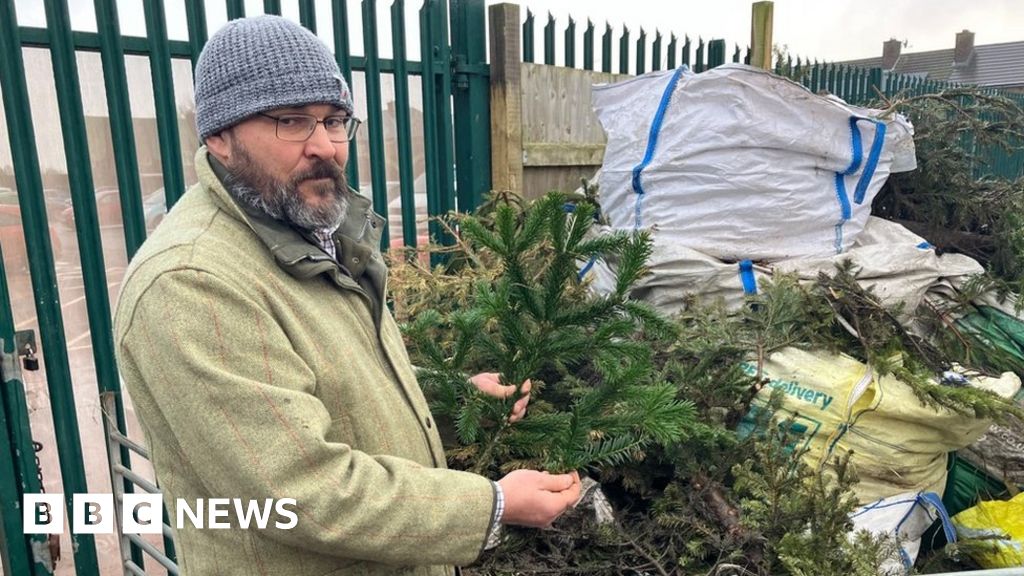 Nunny's Farm: Animals die from yew tree poisoning at Grimsby petting farm