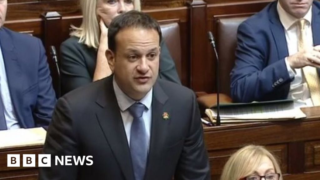 Irish PM wears 'shamrock poppy' in parliament