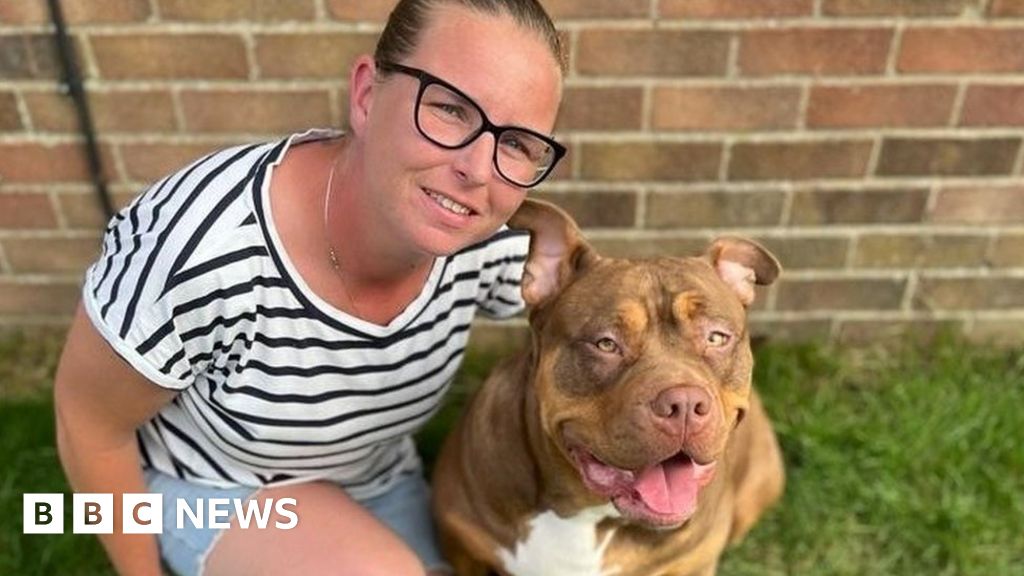 Britain Considers Banning American XL Bully Dogs After Attack On  Child—Here's What Experts Say About The Breed