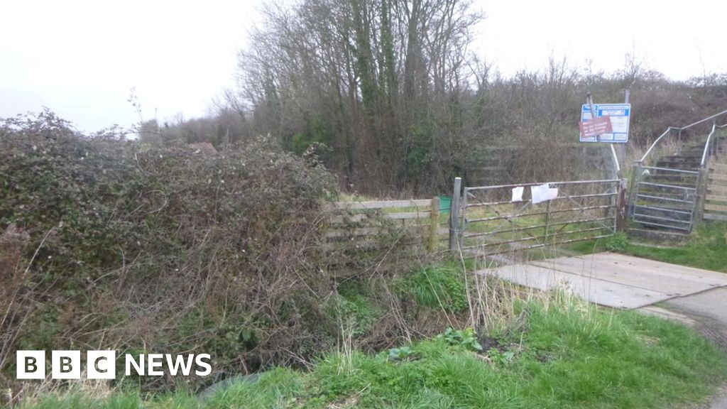 Dead dog found with 'horrific' injuries in stream near Tewkesbury - BBC ...