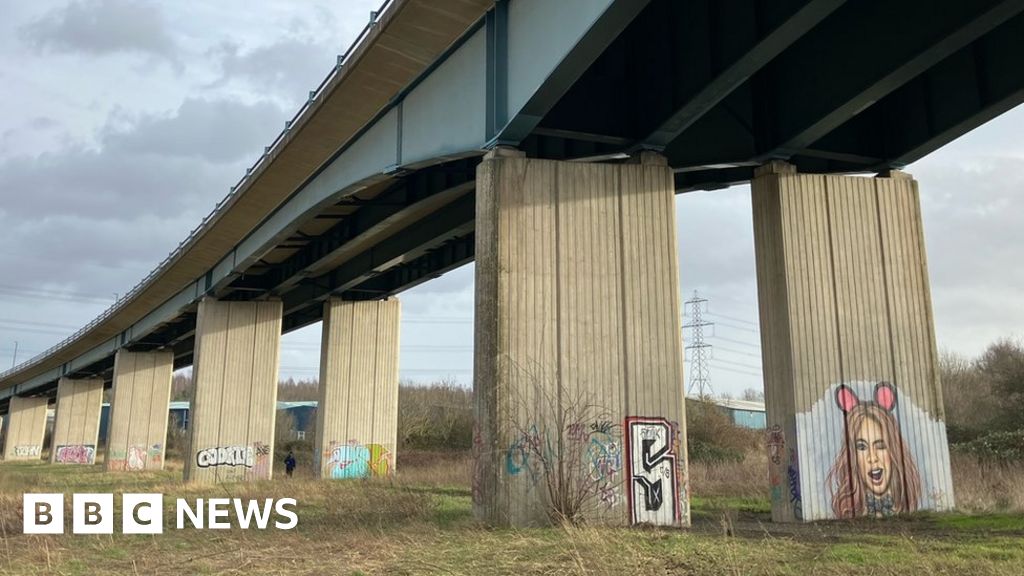 XL bully thrown from Sheffield bridge in 'sickening' act - RSPCA - BBC News