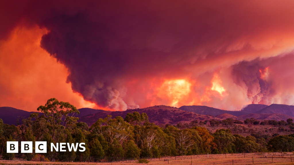 Climate change boosted Australia bushfire risk by at least 30% - BBC News