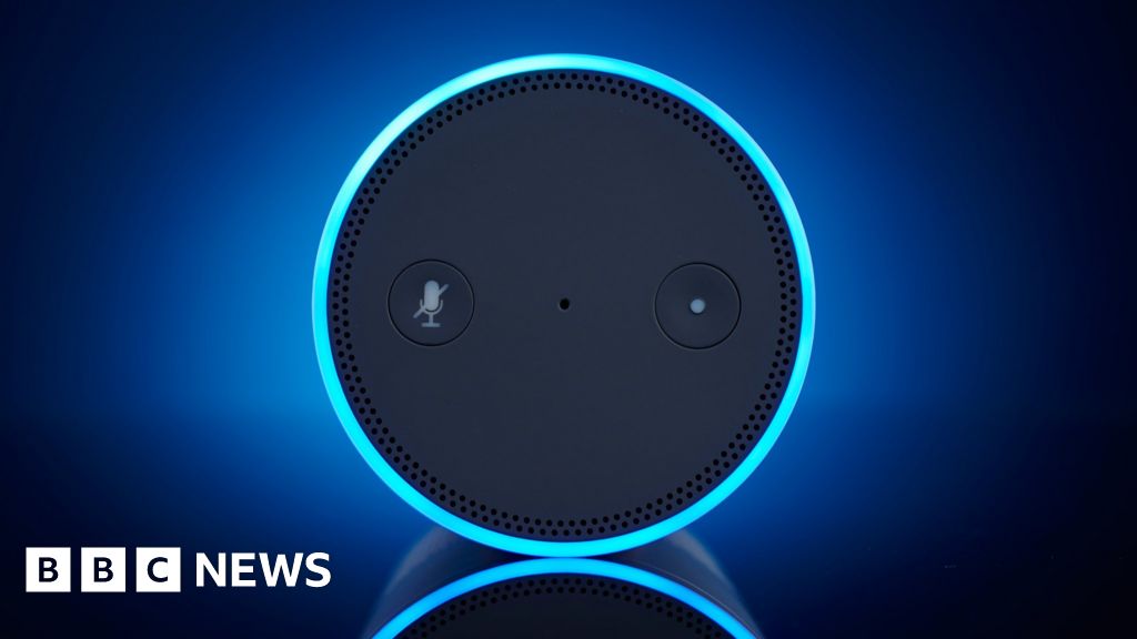 Alexa tells 10-year-old girl to touch live plug with penny