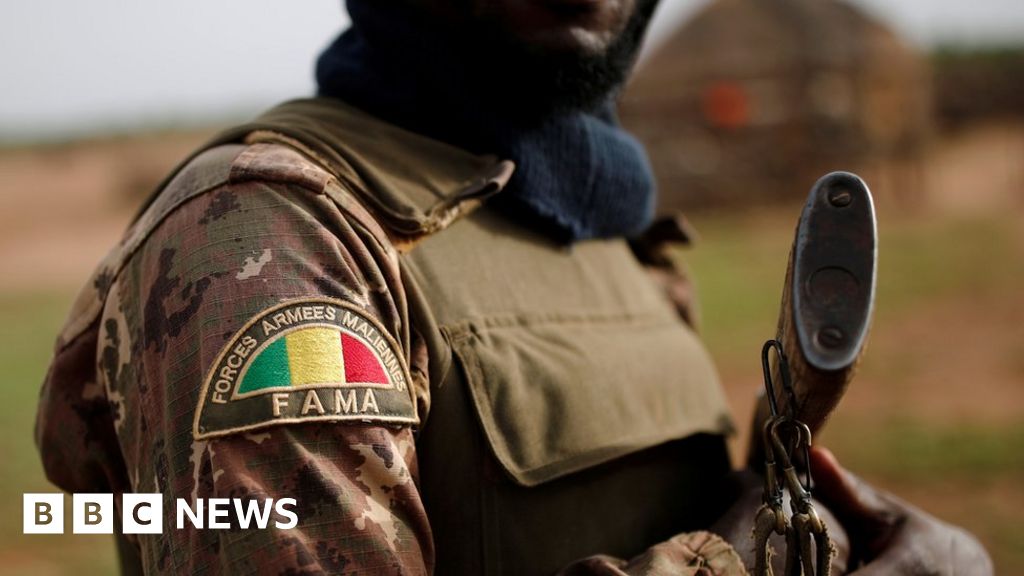 Mali army loses 24 soldiers in Niger border attack