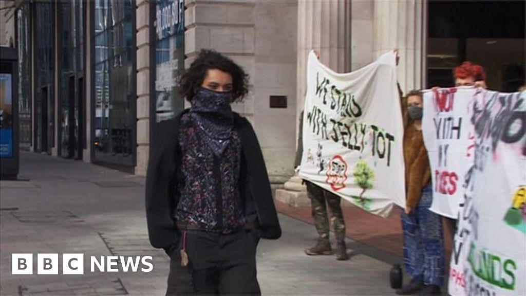 HS2: Protester given suspended prison sentence for woods demo - BBC News