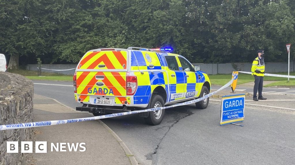 Lifford: Man Arrested After Woman Killed In Hit-and-run