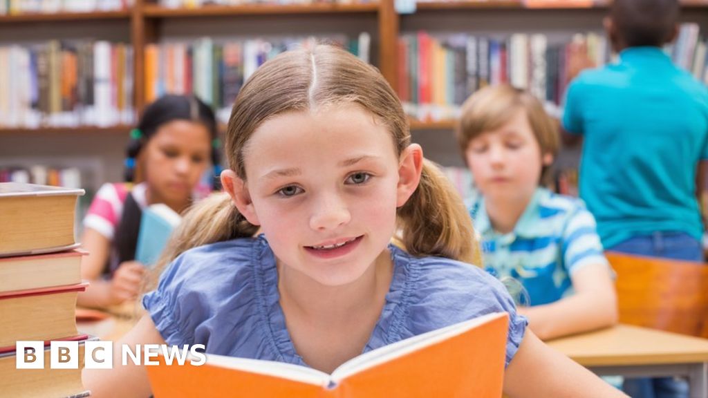 Too many school libraries 'face cuts or closure' - BBC News