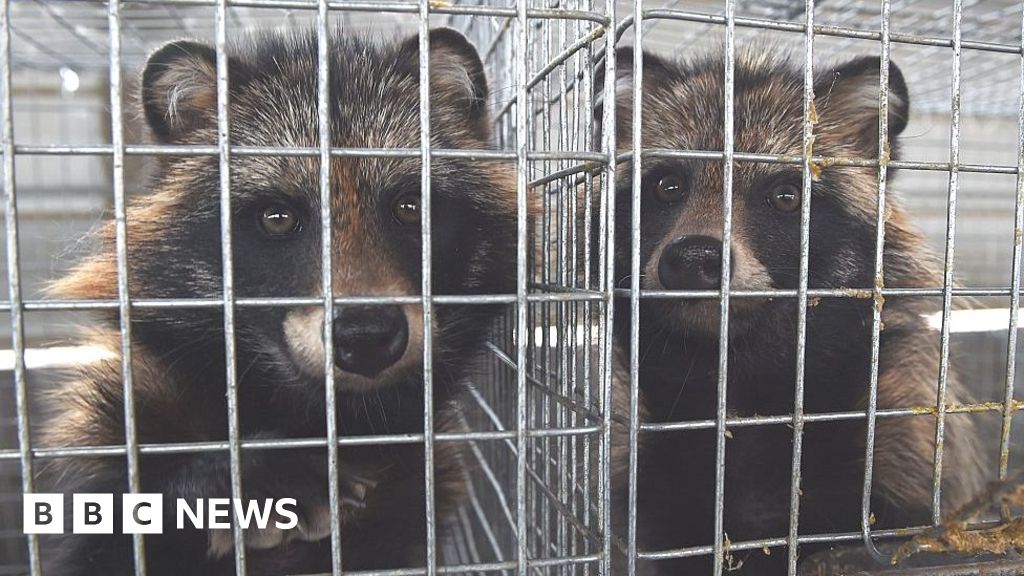 Coronavirus: Calls to shut down 'dirty fur trade'