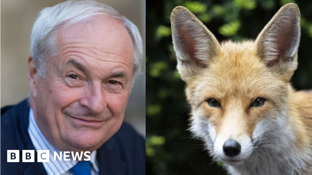 Paul Gambaccini breaks up noisy mating urban foxes