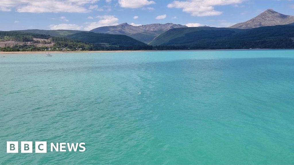 Marine Algae Turned Scotland S Water Bright Blue Bbc News