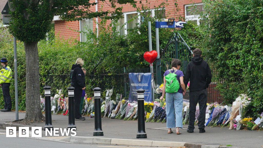 Boy, 10, killed in Exmoor incident named