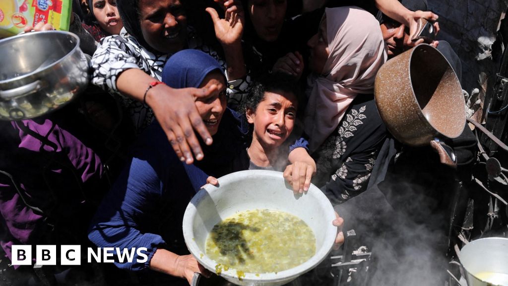 US confirms plan for private firms to deliver Gaza aid despite UN alarm