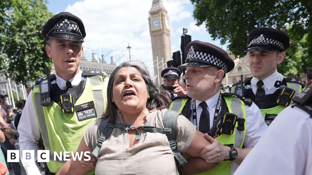 At least 365 arrests at protest against ban on Palestine Action