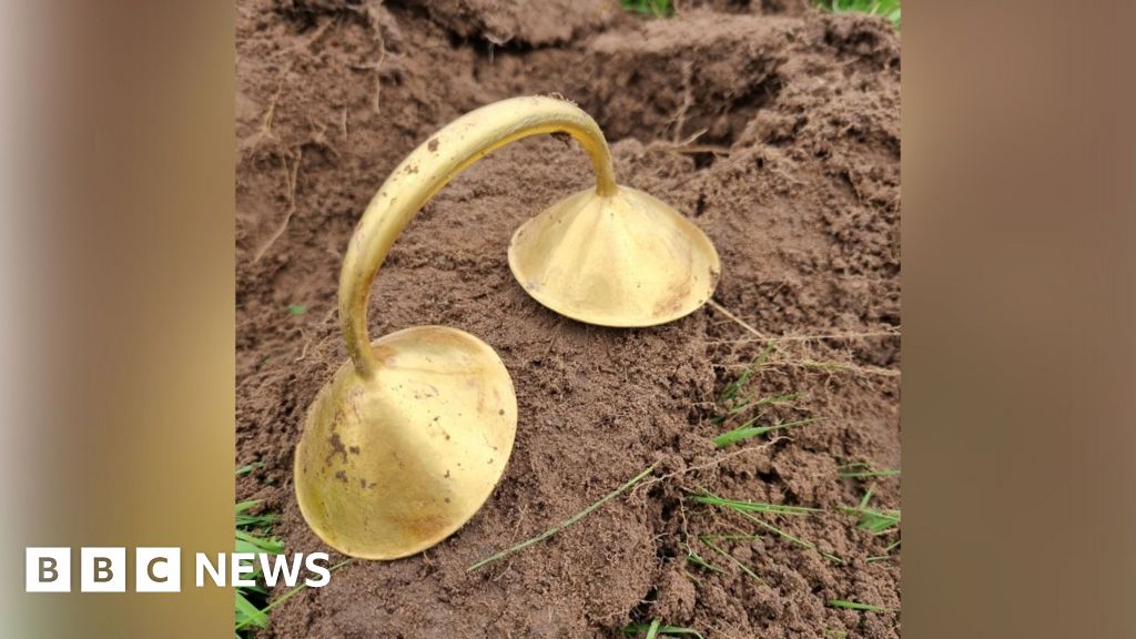 Potteries Museum seeks £150k to buy Bronze Age dress fastener