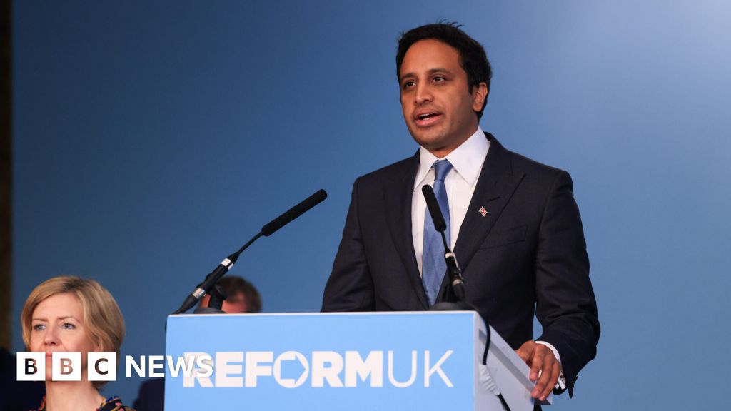 Reform to begin Musk-style audits of councils