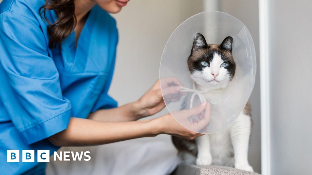 Vets should be made to publish prices, watchdog says
