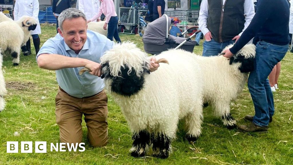 Alex Cole-Hamilton pledges £170m for Scottish farmers – BBC News