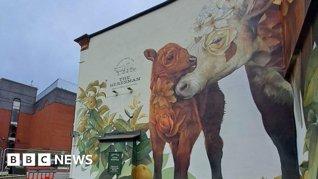 Colourful murals for buildings and pathways in Hereford