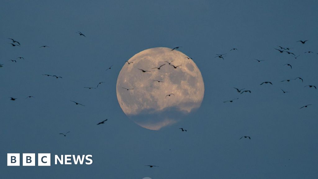 Hunter’s Moon: Photos from Wales as supermoon lighting fixtures up sky