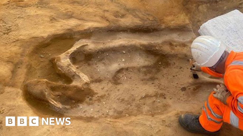 Princely burial with horse unearthed at Sizewell C excavation