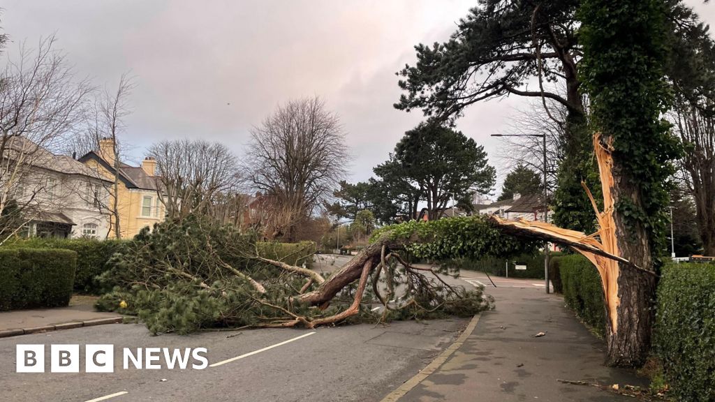 Thousands without power in NI as 'life-threatening' Storm Éowyn arrives