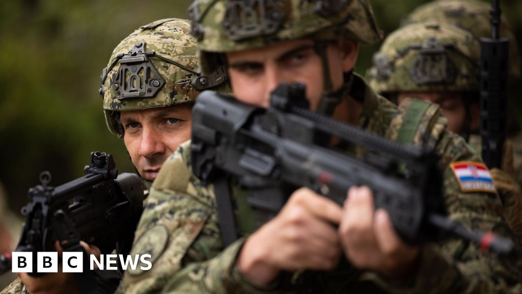 Mercian Army reserves 'ready to stand by' Nato allies