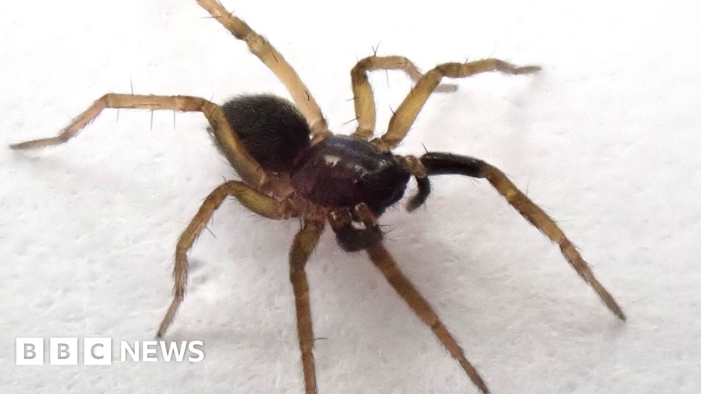 Alabama Coastal Cities Swear In Historic Mayors