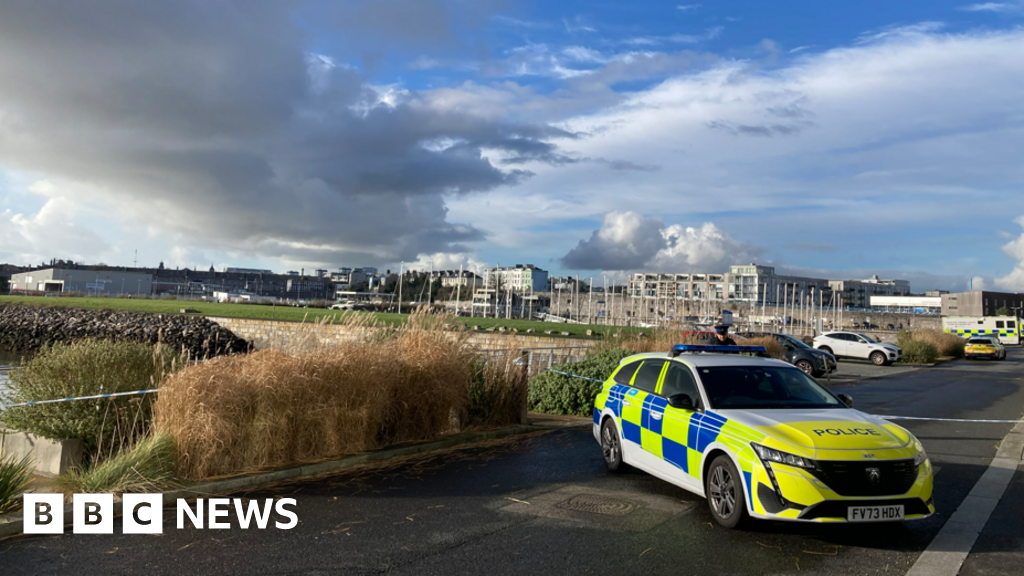 Murder arrest after body found in Plymouth marina