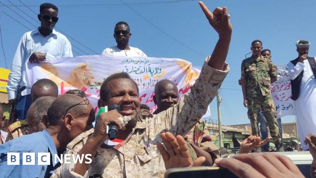 Sudan army ends two-year siege of key city