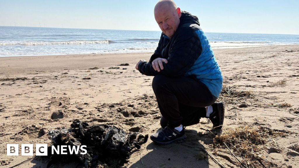 Dead seabirds and the stench of fuel: the after-effects of the North Sea ship crash