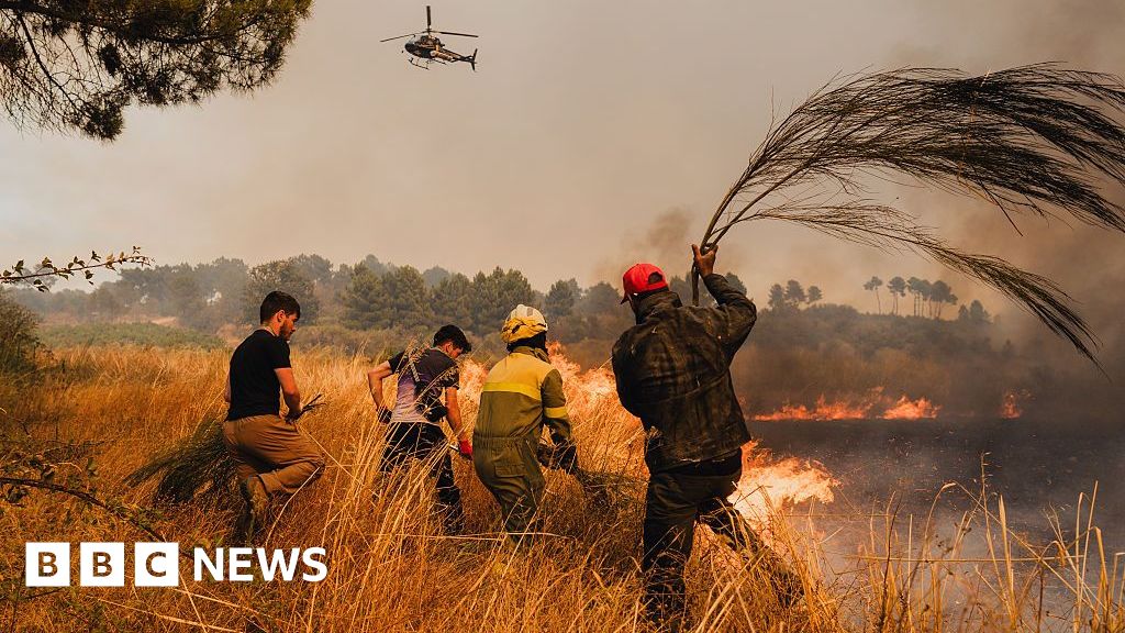 Man run over by own bulldozer while fighting Portugal fires