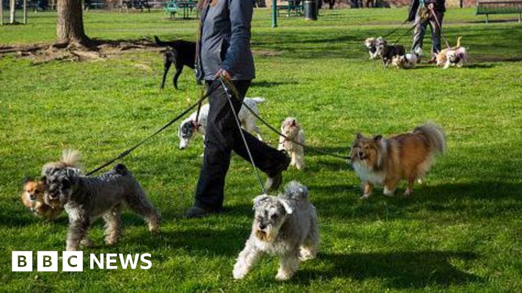 Tower Hamlets considers new rules to tackle ‘out-of-control’ dogs