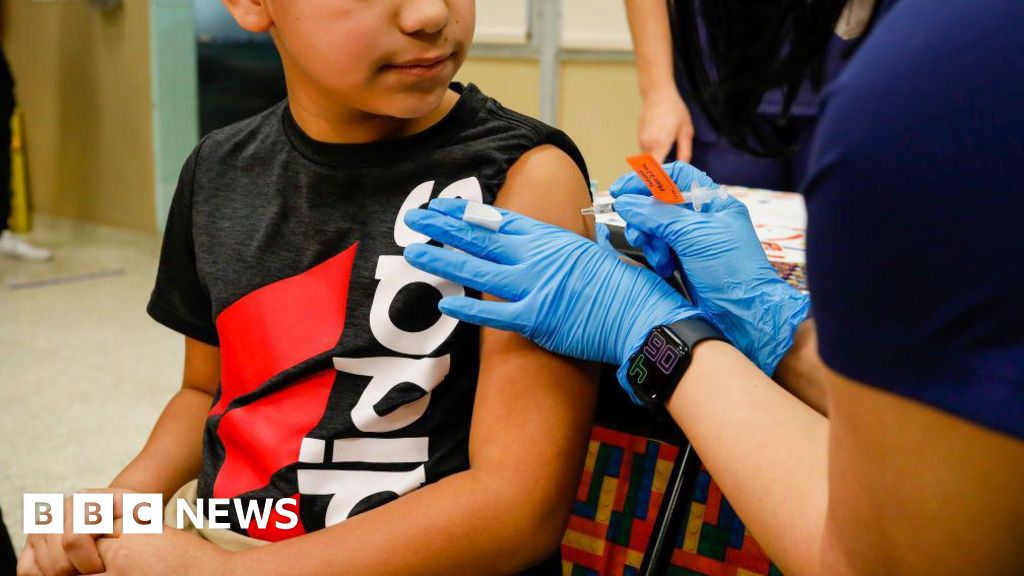 Florida plans to become first state to ban all vaccine requirements