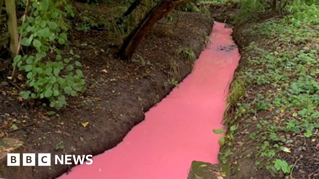 Pink stream in Tiverton caused by binned paint BBC News