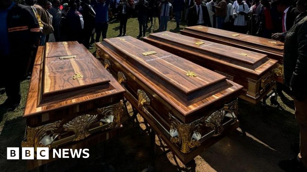 Senzo Mchunu: South Africa crime statistics debunk ‘white genocide’ claims