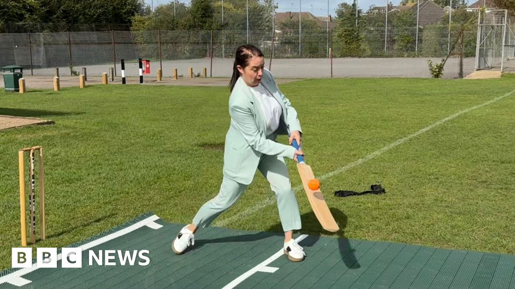 Cricketers 'excited' by dome plan but want access