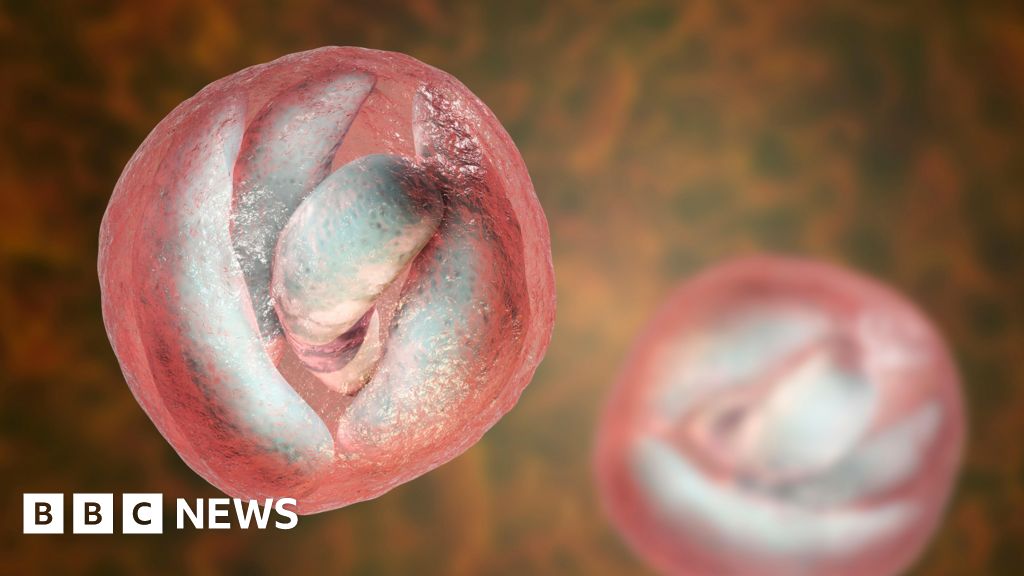 Farm day visitors warned over Cryptosporidium parasite threat