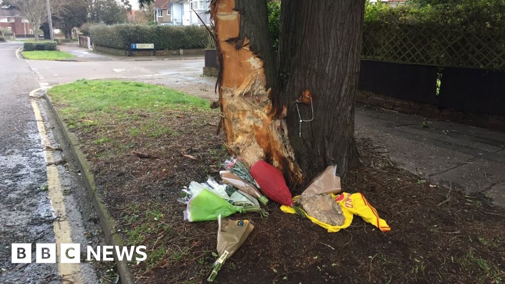 Bournemouth Man Killed After Car Hits Tree Bbc News