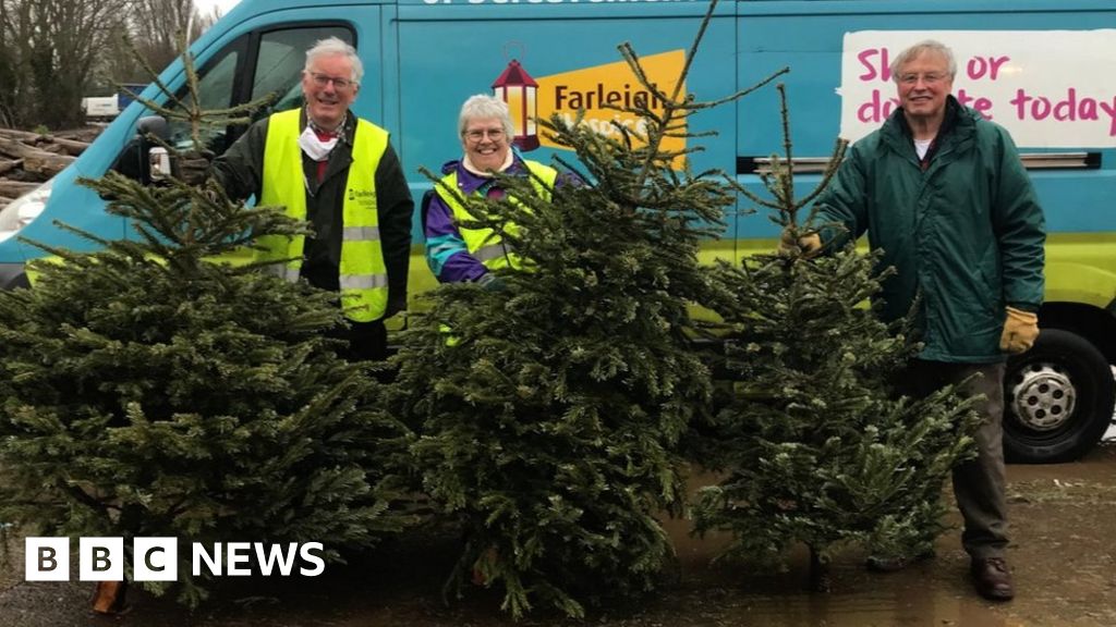 Christmas tree recycling scheme raises £220K for hospice BBC News