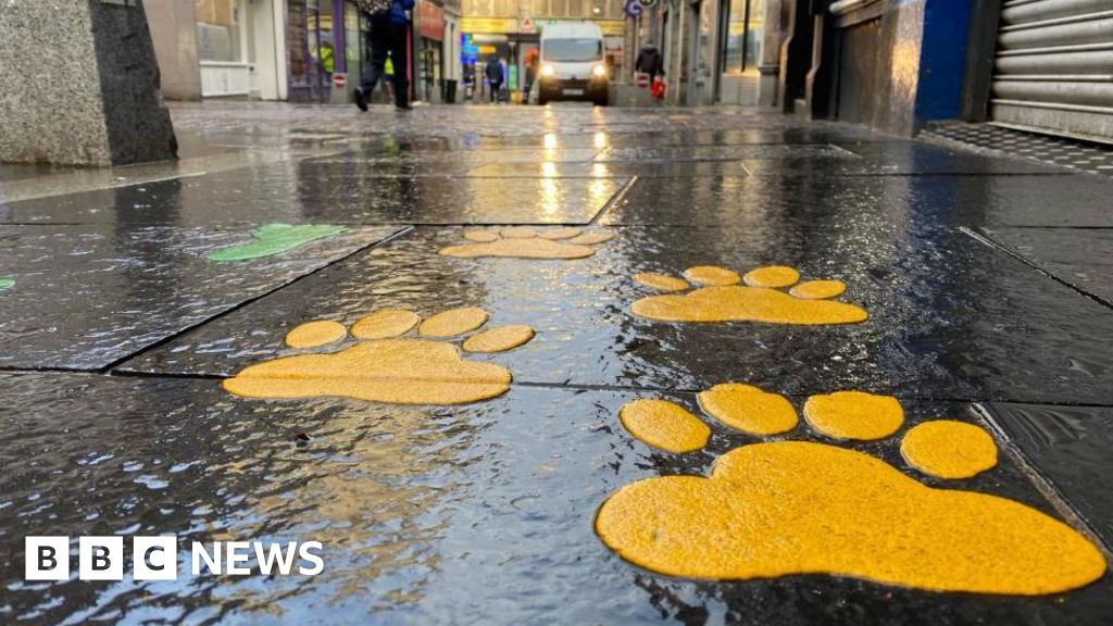 Aby przetrwać, w centrum Inverness narysowano odciski psich łap