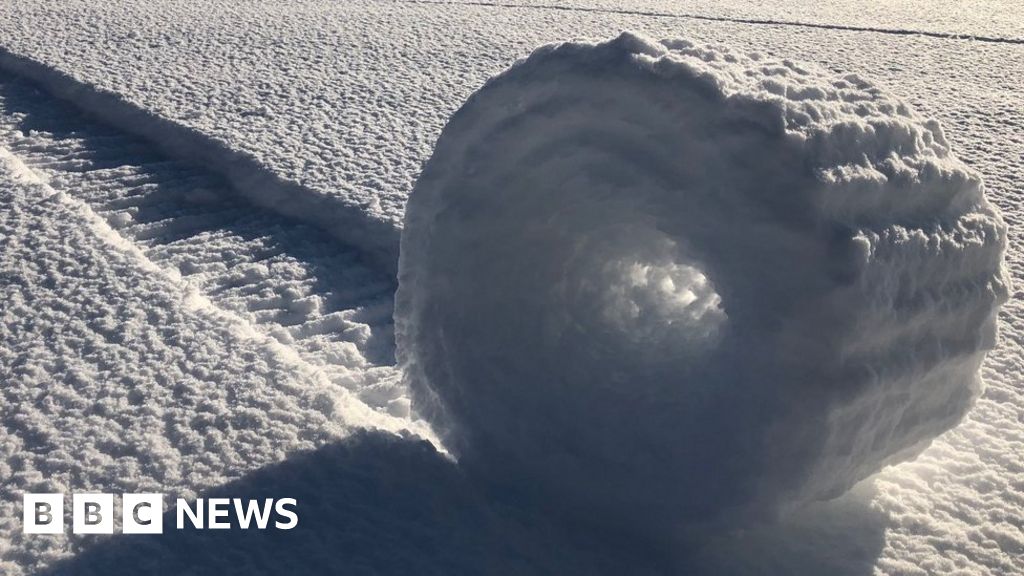 Rare snow rollers spotted in field near Marlborough