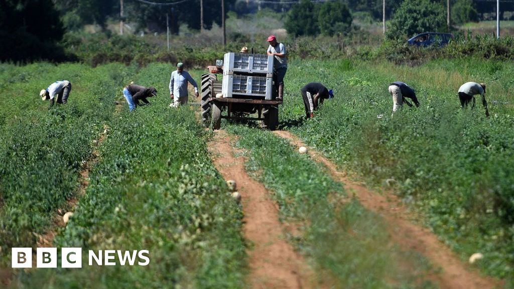 Земеделски работник почина в Италия, след като ръката му беше отрязана от машина