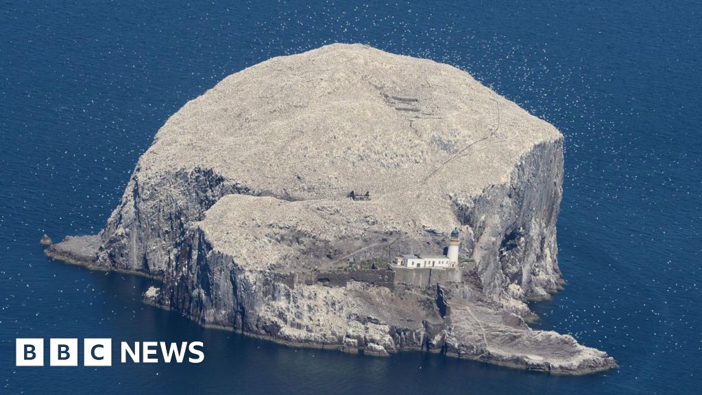 RSPB buys Bass Rock after 300 years in private hands